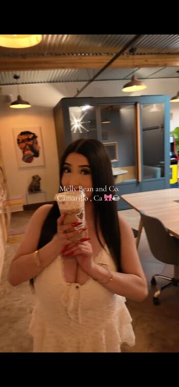 Ashleyarambulaa image