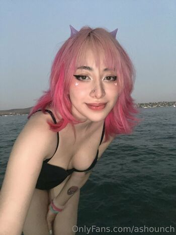 Ashounch image
