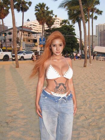asiasharkyx.ig