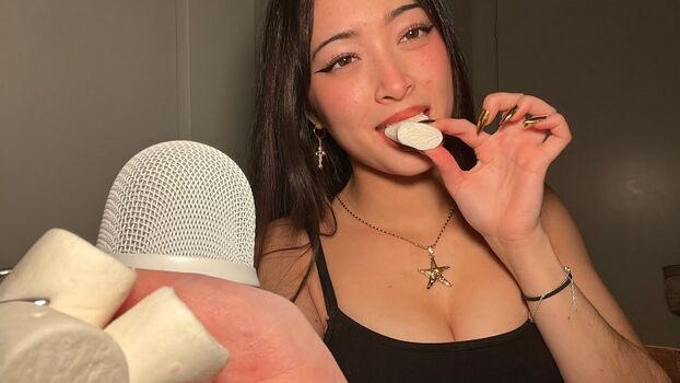 Asmr emco image