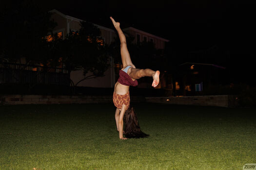 Athena heart page 2 image