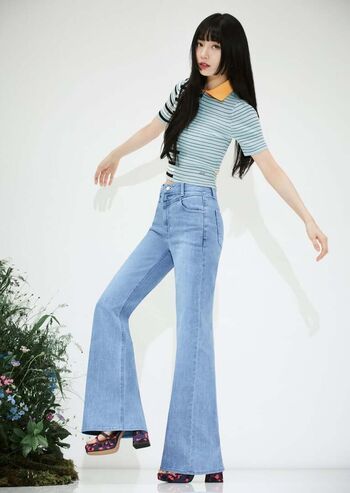 Baesuzy image