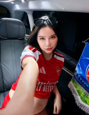 Baibaifern image