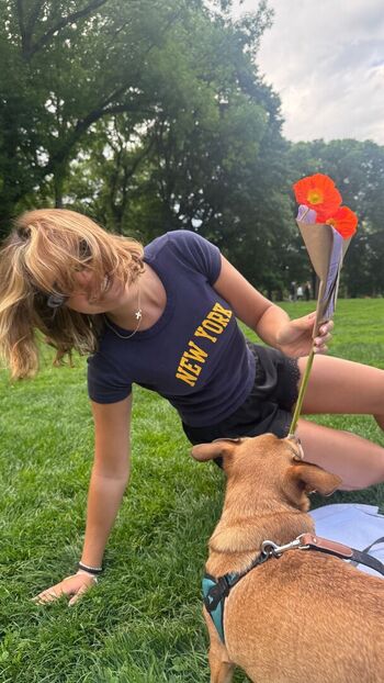 Bailee madison image
