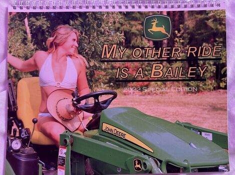 Bailey brewers image