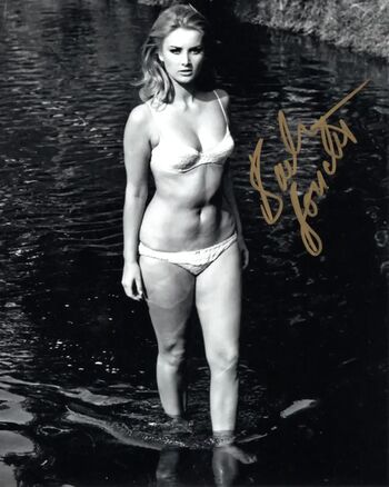 Barbara bouchet image