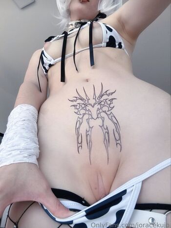 Barbara horacek 1 image