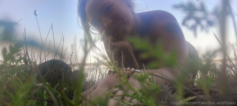 barefoot.wildflower