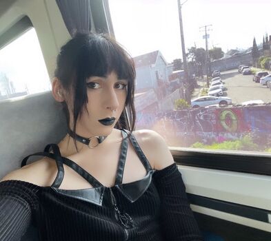 Batkittyycat image