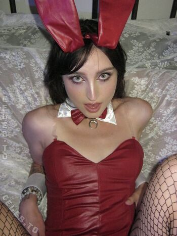 Beebee image