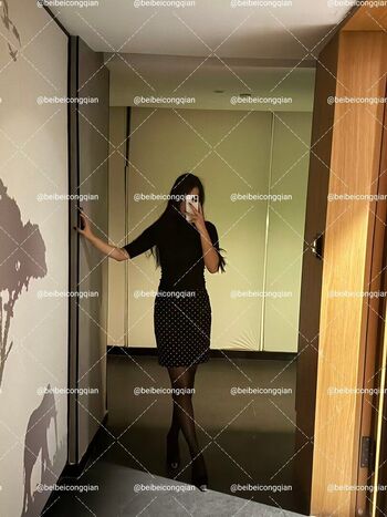 Beibeicongqian image