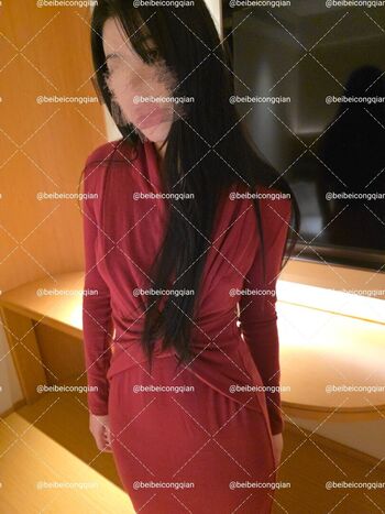 Beibeicongqian image