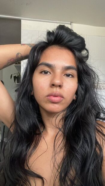 Beyli fox image