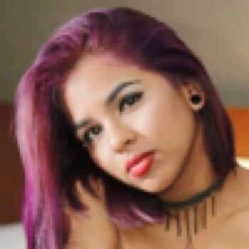 Beyli fox image