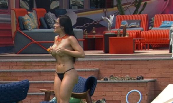 Big brother brasil 26 image