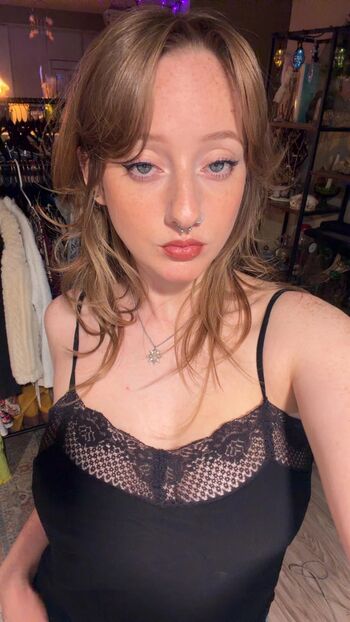 Bittersweet image