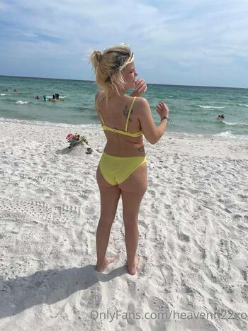 Bjbarbie 19977 image