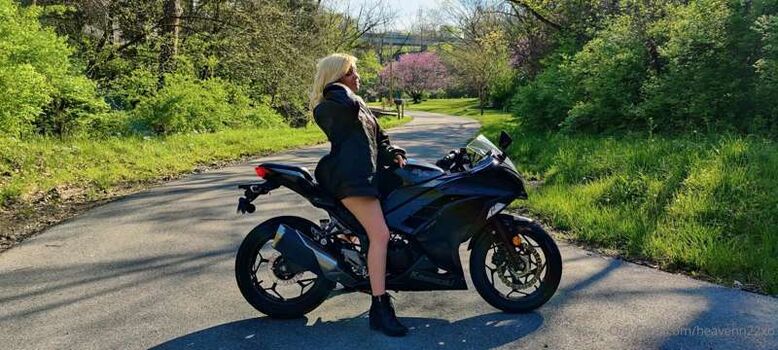 Bjbarbie 19977 image