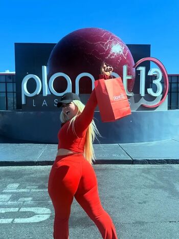 Black dahlia47 image