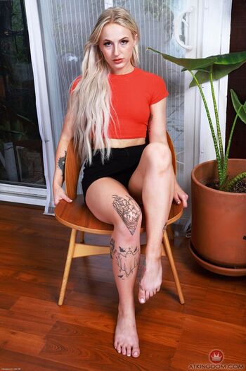 Blonde rabbit image