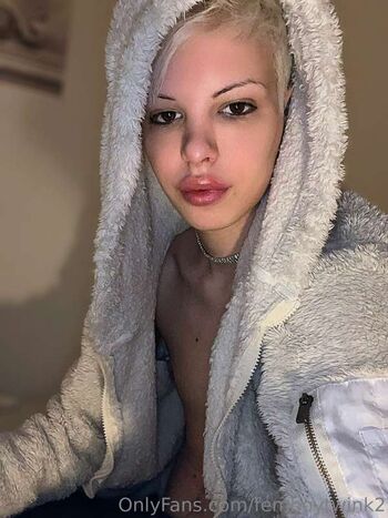 Blonditwink page 2 image