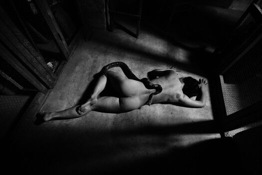 Bohemian image
