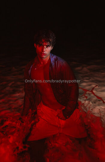 bradyraypotter