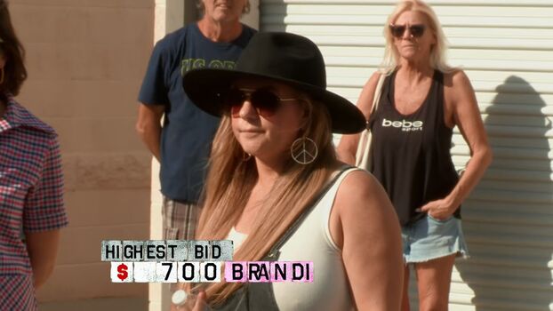 Brandi passante page 4 image