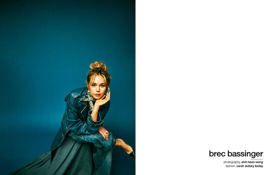 Brec bass image