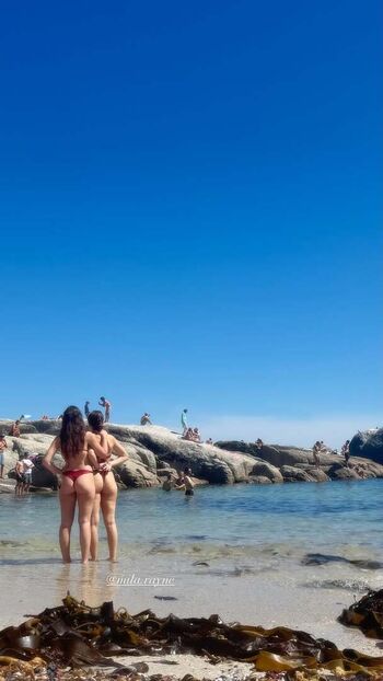 Brec bassinger image