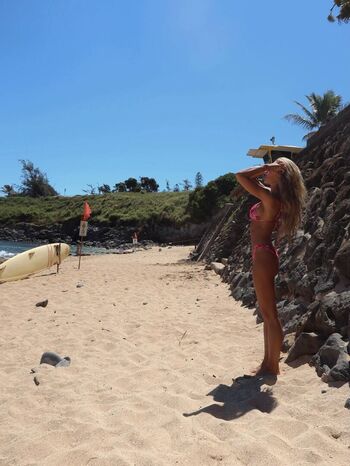Briar nolet image