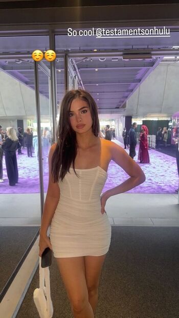 Brighton sharbino 1 image