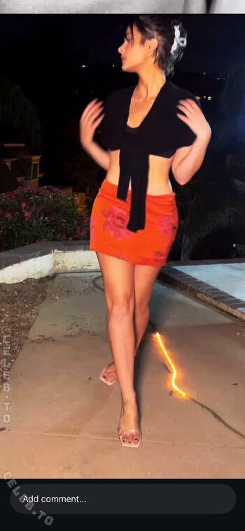 Brighton sharbino 1 image
