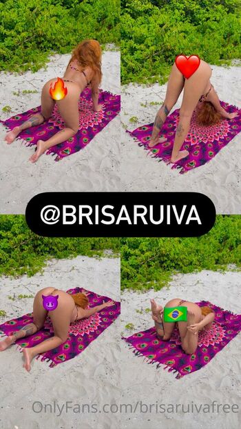 Brisaruivafree image