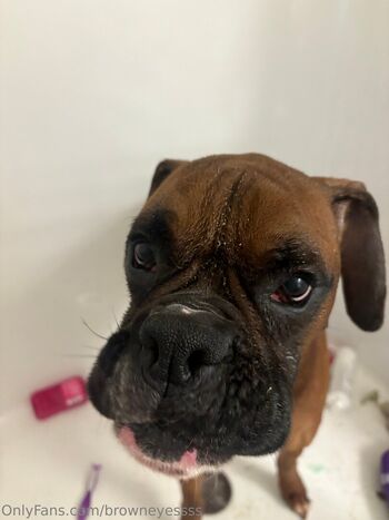 browneyessss