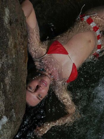 Bruna linzmeyer image
