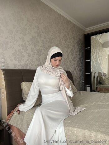 Camellia blossom image