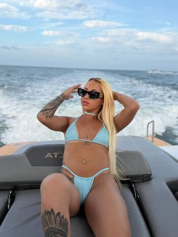 Camilaalimaa image