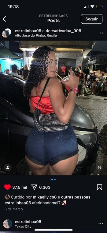 Camilaferreirai image