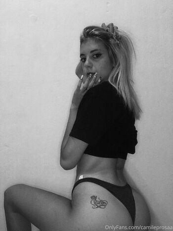 Camileprosaa page 3 image