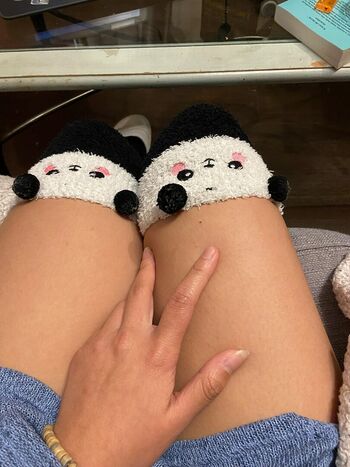 Canigetcream page 2 image