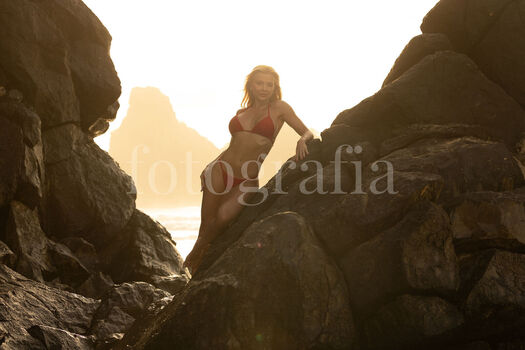 Carol bresolin image