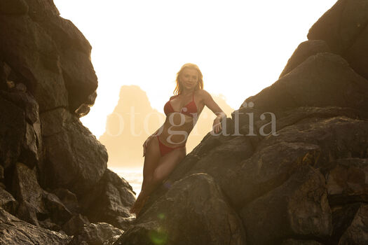 Carol bresolin image