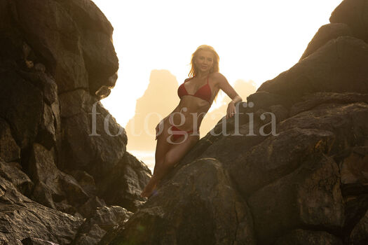 Carol bresolin image