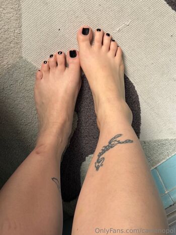 Carrenopol page 2 image