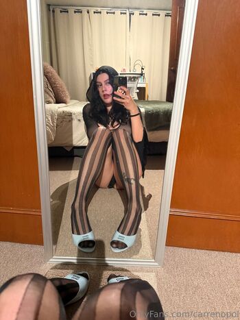 Carrenopol page 2 image