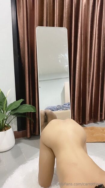 carrottieee