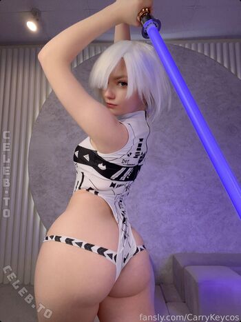 Carry key page 2 image