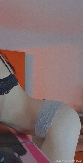 Cata leyah image