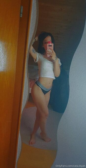 Cata leyah image